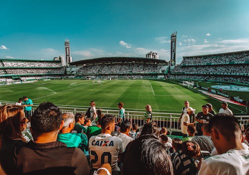 Football fans cheering with excitement