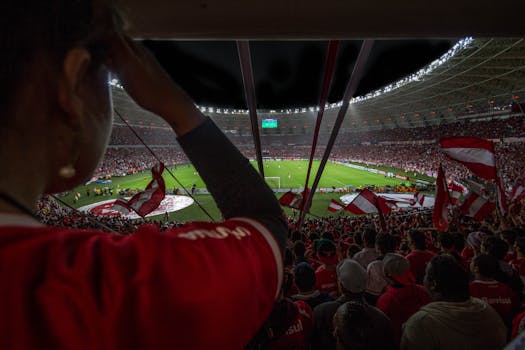 excited fans in a stadium